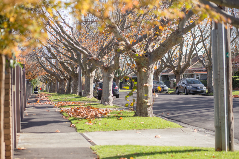 Nature Strip Planting Policy Connect Stonnington